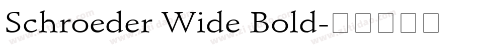 Schroeder Wide Bold字体转换